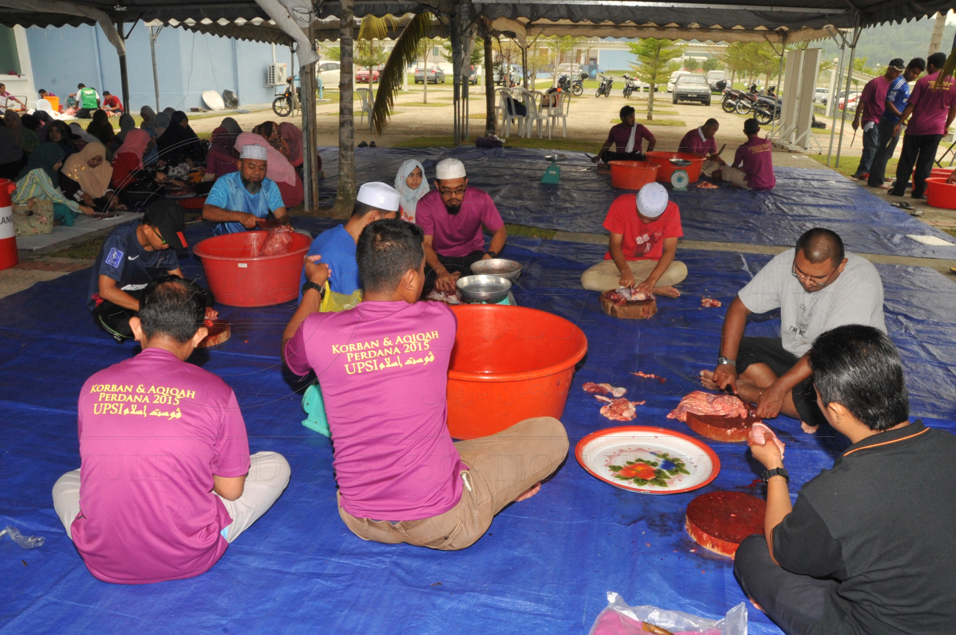 PRO15 150 KORBAN HAS 6940